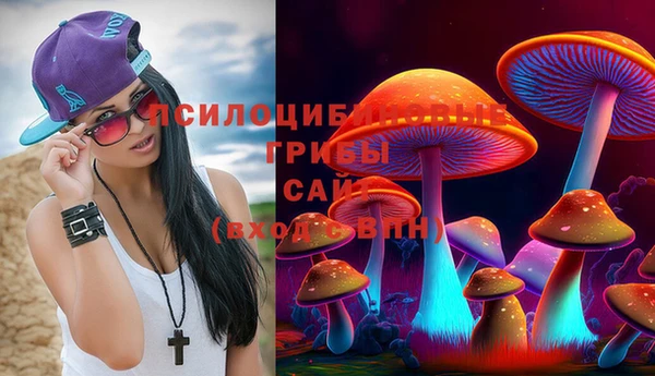 соль ск Карпинск